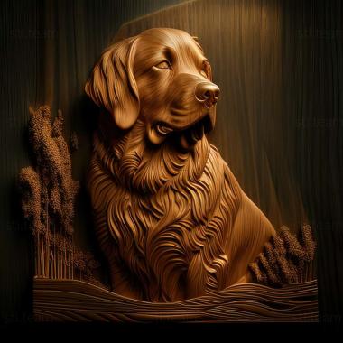 3D model The Nova Scotia Retriever dog (STL)